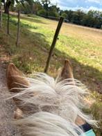 3 paarden te koop, Dieren en Toebehoren, Merrie, Z