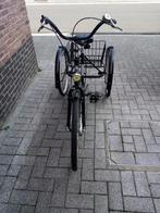 Driewieler, Ophalen, Gebruikt, Eco Trike, Verstelbare zitting