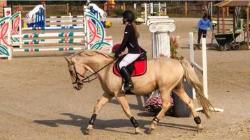 Ervaren amazone zoekt (bij)rijpaard of pony – regio Limburg beschikbaar voor biedingen