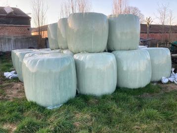 Voordroog hooi voor paarden beschikbaar voor biedingen