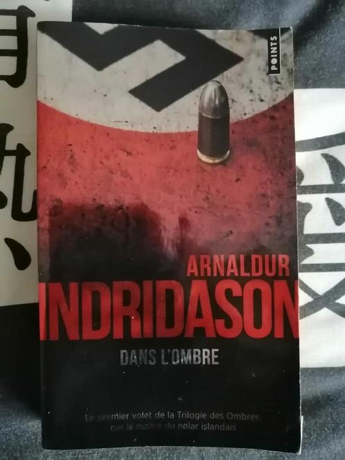 Dans l'ombre d'Arnaldur Indridason, Livres, Thrillers, Enlèvement ou Envoi