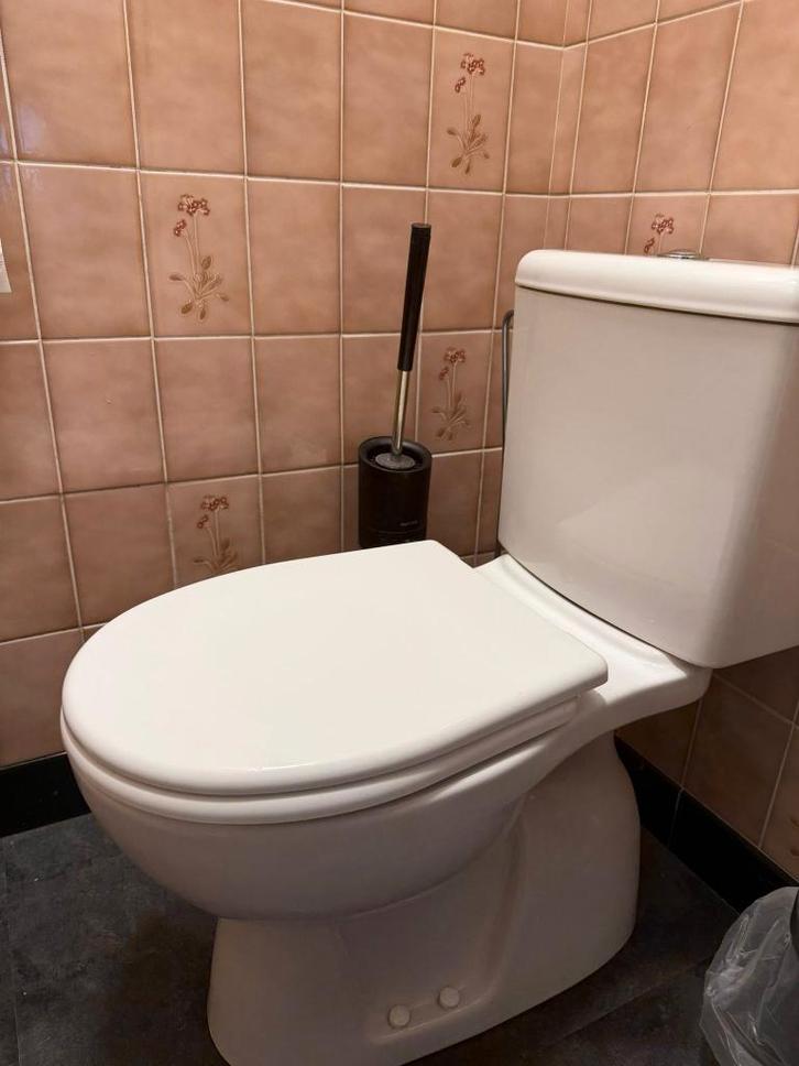 Toilet, Doe-het-zelf en Bouw, Sanitair, Zo goed als nieuw, Toilet, Ophalen