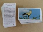 Natural Neighbours complete set 40 chromos dieren 1992, Ophalen of Verzenden, 1980 tot heden, Dier