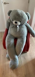 Oversized grijze teddybeer, Ophalen, Zo goed als nieuw, Jongen of Meisje