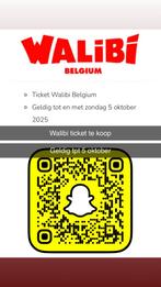 Walibi belgium ticket, Eén persoon, Ticket of Toegangskaart