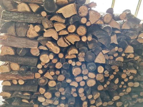 Hout direct stookbaar, Tuin en Terras, Brandhout, Blokken, Beukenhout, Minder dan 3 m³, Ophalen of Verzenden