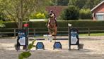 Zadelmak maken/doorrijden van uw paard, Dieren en Toebehoren, Zadelmak