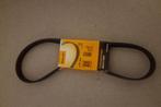 Continental 6 PK 906 riem, Ophalen of Verzenden, Nieuw, Universele onderdelen