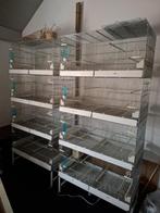 Kweekkooien voor vogels, Dieren en Toebehoren, Ophalen, Metaal, Broedkooi of Kweekkooi