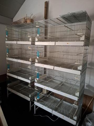 Kweekkooien voor vogels beschikbaar voor biedingen