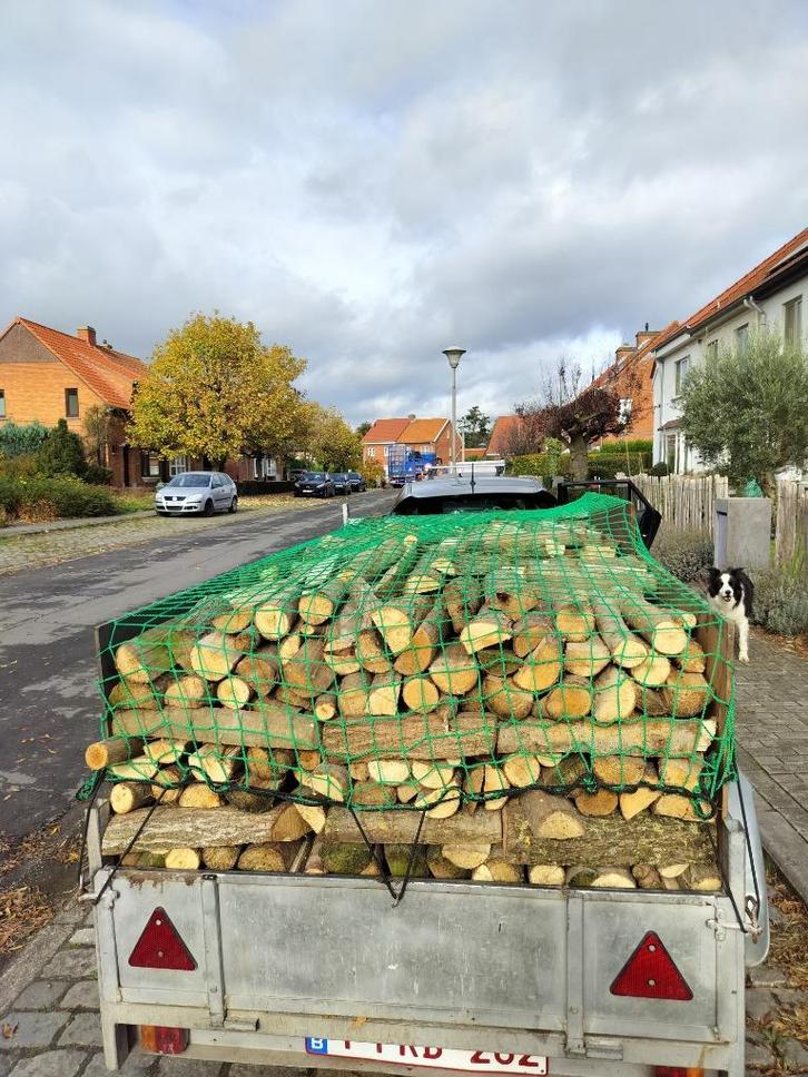 Brandhout, wilgenhout, Tuin en Terras, Brandhout, Blokken, Overige houtsoorten, 3 tot 6 m³, Verzenden