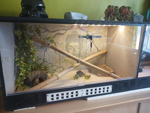 Terrarium Reptile, Dieren en Toebehoren, Reptielen en Amfibieën | Toebehoren, Zo goed als nieuw, Verlichting, Ophalen
