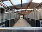Stalling skw volpension, Dieren en Toebehoren, Stalling en Weidegang, Weidegang