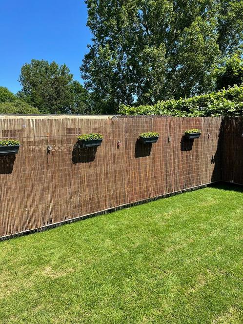 Nieuw Wilgenmat 300x200 cm, Tuin en Terras, Tuinschermen, Nieuw, Ophalen