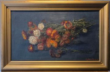 Romain malfliet  beschikbaar voor biedingen