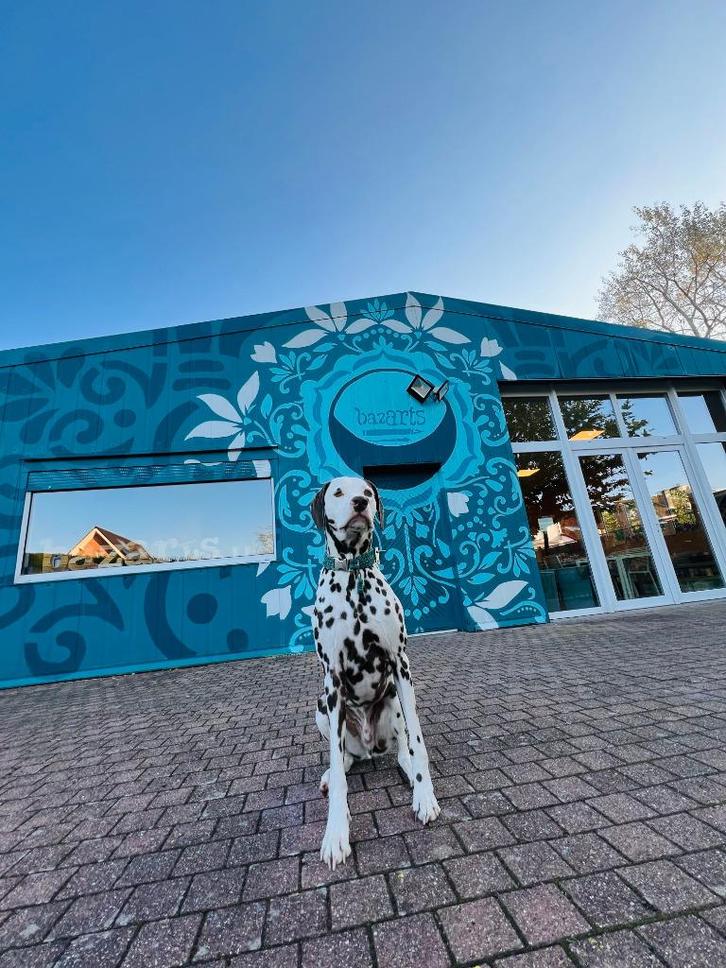 atelier/creatieve ruimte te huur, Zakelijke goederen, Bedrijfs Onroerend goed, Creatieve ruimte, Huur