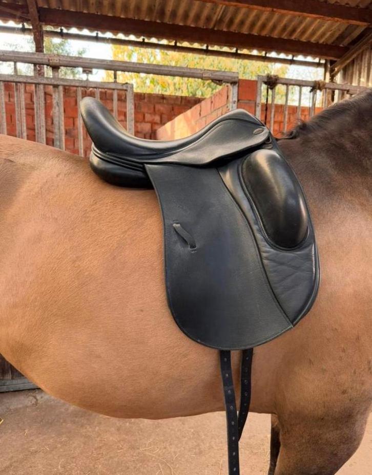 Zwart dressuurzadel Harry dabbs, Dieren en Toebehoren, Paarden en Pony's | Zadels, Gebruikt, Ophalen