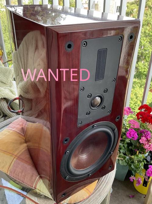 GEZOCHT DALI HELICON 300 400, MENTOR 1 2 5 6 8 luidsprekers, Audio, Tv en Foto, Luidsprekerboxen, Gebruikt, Ophalen