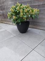 Set van 3 bloempotten te koop., Ophalen, Zo goed als nieuw, Binnen