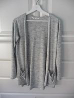 Zilvere vest H&M maat 158, Meisje, Trui of Vest, H&M, Ophalen of Verzenden