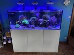 Aquarium zeewater, Animaux & Accessoires, Poissons | Aquariums & Accessoires, Enlèvement, Comme neuf, Aquarium d'eau de mer rempli