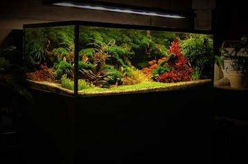 Aquarium 130x70x50, Enlèvement, Utilisé