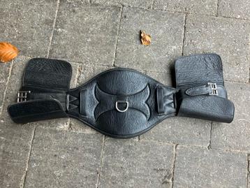 Anatomische dressuursingel beschikbaar voor biedingen