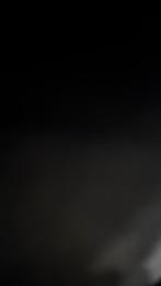 Project paard, Offres d'emploi, Emplois | Chauffeurs