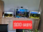 200€ pour 3 aquariums, tout compris. Animaux, filtre, air, n, Enlèvement ou Envoi