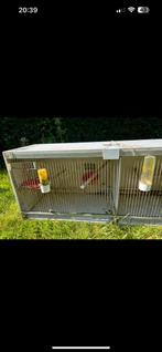 Cage d’élevage, Animaux & Accessoires, Oiseaux | Cages & Volières, Comme neuf, Bois, Cage d'élevage