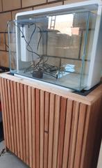 Aquarium met kast / onderstel, Dieren en Toebehoren, Vissen | Aquaria en Toebehoren, Ophalen, Zo goed als nieuw