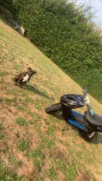 Aerox 70cc met papieren, Fietsen en Brommers, Scooters | Yamaha, Ophalen, Tweetakt, Gebruikt, Aerox