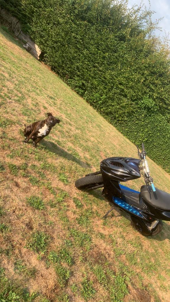 Aerox 70cc met papieren, Fietsen en Brommers, Scooters | Yamaha, Gebruikt, Aerox, Klasse B (45 km/u), Tweetakt, Ophalen