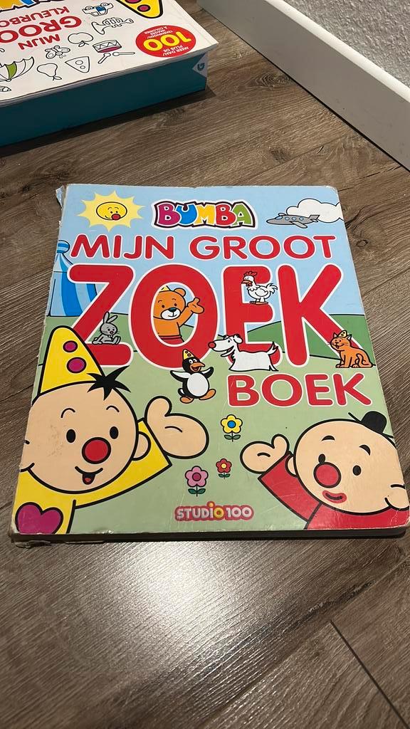 Gert Verhulst - Mijn groot zoekboek, Boeken, Kinderboeken | Jeugd | onder 10 jaar, Ophalen