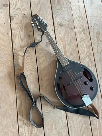 Mandoline éléctro-acoustique Stagg, Enlèvement, Utilisé