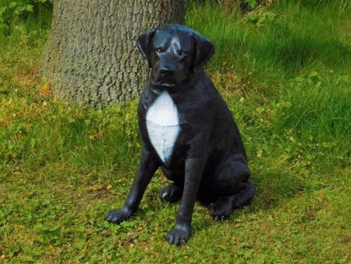 Rottweiler, hond , beeld van een hond, Maison & Meubles, Accessoires pour la Maison | Autre, Neuf, Enlèvement ou Envoi