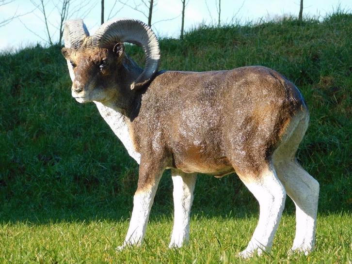 Statue Bélier en couleur - 65 cm - Polystone, Jardin & Terrasse, Statues de jardin, Animal, Synthétique, Enlèvement ou Envoi