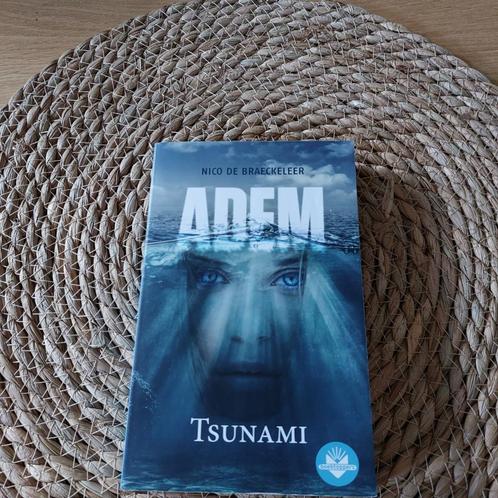 Adem (Tsunami) - Nico De Braeckeleer, Livres, Livres pour enfants | Jeunesse | 13 ans et plus, Comme neuf, Fiction, Enlèvement ou Envoi