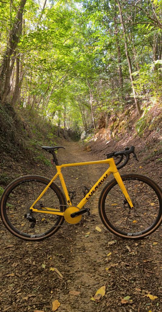 Colnago GX4 1x12 Etap Large/52 5 maand oud, Fietsen en Brommers, Fietsen | Racefietsen, Zo goed als nieuw, Ophalen