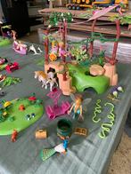 Playmobil Fairy Fairies sprookjes 6 sets, Kinderen en Baby's, Speelgoed | Playmobil, Ophalen, Gebruikt, Complete set