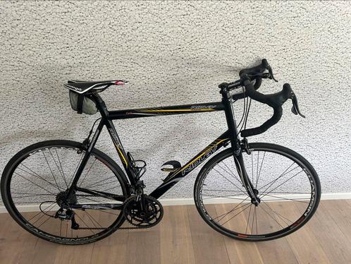 Ridley racefiets XL – Campagnolo & rijklaar, Fietsen en Brommers, Fietsen | Racefietsen, Gebruikt, Heren, Overige merken, 15 tot 20 versnellingen