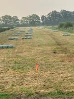 Voordrooghooi voordroog hooi, Dieren en Toebehoren