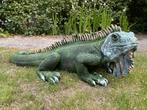 Beeld Leguaan, tuin, zwembad, vijver, salamander 100cm, Ophalen, Nieuw, Kunststof, Dierenbeeld