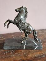 Beeldhouwwerk, "Rampant paard" - Brons, Marmer, Enlèvement ou Envoi