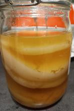 Scoby met starter voor kombucha, Diversen, Ophalen