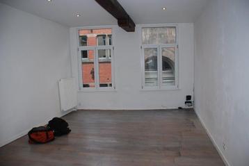 Te huur appartementje 1 slk buurt Eilandje, Immo, 50 m² of meer, Antwerpen (stad)