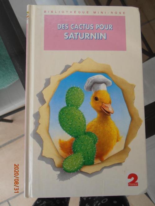 Livre "Des cactus pour Saturnin" – HACHETTE (1994), Livres, Livres pour enfants | Jeunesse | Moins de 10 ans, Utilisé, Fiction général