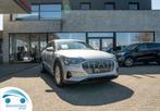 Audi e-tron  95 KWH 55 QUATTRO BUSINESS carplay/lane keep/m, 0 kg, 408 pk, 5 zetels, 5 deurs