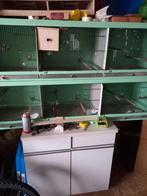 Kweekbakken, Dieren en Toebehoren, Ophalen of Verzenden