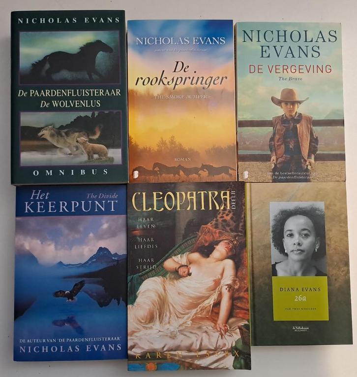 Romans & Literatuur (5), Boeken, Literatuur, Gelezen, Ophalen of Verzenden